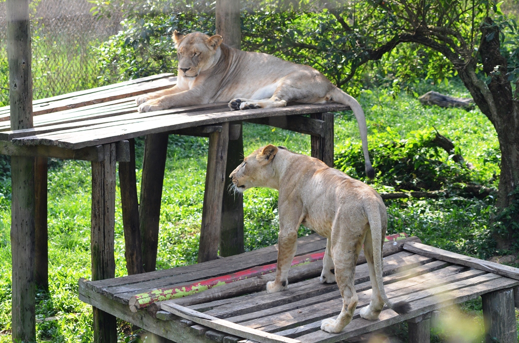6-Day Unique Uganda Cultural & Historical Safari